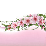 Spring header with pink cherry flowers, buds and copy space.