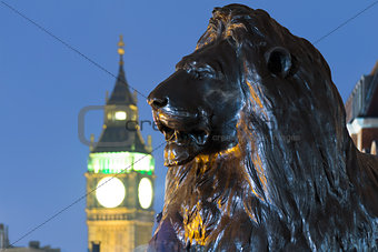 Lion in London's Trafalgar Square with Big Ben in the background