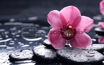 Water flower.