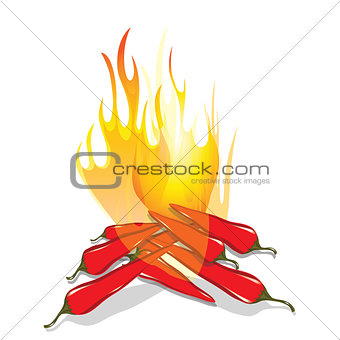 Hot chilli pepper in fire