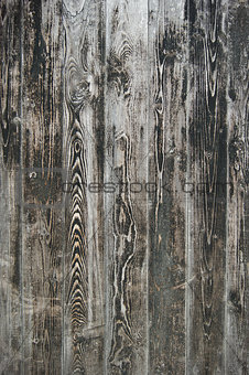 Wood Background Rustic Texture