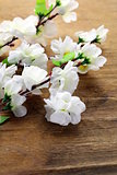 flowering sakura tree branches (artificial) on a wooden background