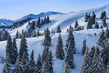 winter landscape in the Carpathian Mountains 