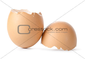 Empty brown egg shell