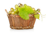 Grapes in a basket isolated