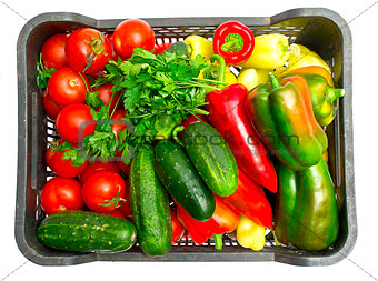 Fresh vegetables in a box on a white background