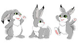 Set of funny rabbits
