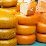 cheese market, Alkmaar, Netherlands