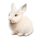 white easter rabbit