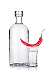 Bottle and shot glass of vodka and red chili pepper