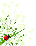 Spring  background with ladybug