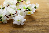 flowering sakura tree branches (artificial) on a wooden background