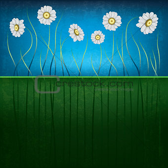 abstract grunge floral background with chamomiles