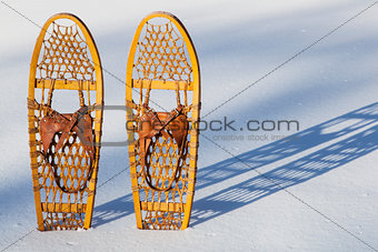 Bear Paw snowshoes
