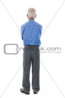 chinese senior business male back view