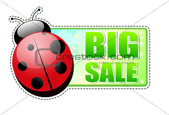 big sale green label with ladybird