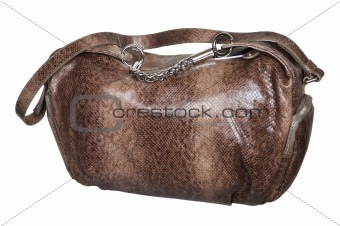 Fashionable brown bag