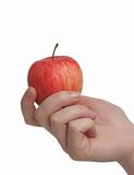 Tasty juicy apple in a hand on a white background