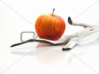Red apple with a  wooden piece 