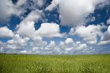 Clouds over a green landscape