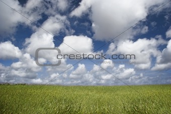 Clouds over a green landscape