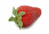 strawberry single