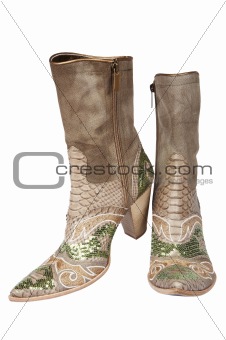 Cowboy's boots