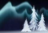 aurora borealis and fir trees collage