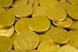 Chocolate Golden Euro Coins