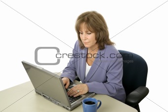 Female Executive on Computer