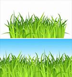 two grass backgrounds / vector