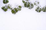 snow pine branches frame