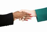 Female Business Handshake with Path