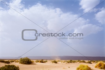 Desert Landscape 