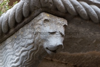 Lion on the balcony