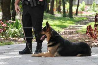 Police Dog 1