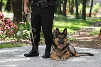 Police Dog 2