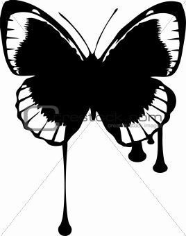 Dripping Butterfly