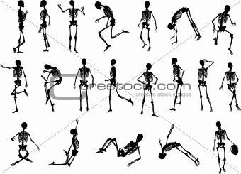 X-ray Skeleton Silhouettes (Vector)