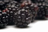 fresh blackberry