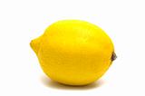 one lemon on white background