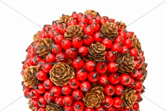 Berry and cones