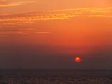 orange sunset in the sea