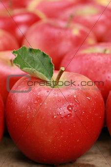 Red apple with a leaf