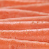 Carrots in a row forming a background