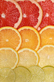 Background from lemons, oranges, grapefruits and limes