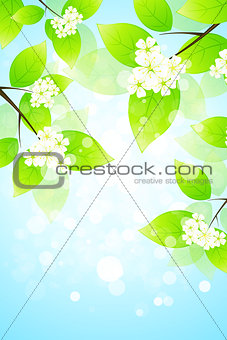 Abstract Background with Tree Branch