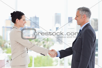 A director and his secretary shaking hands while smiling