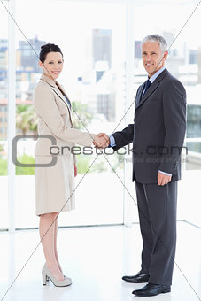 Business people standing upright while shaking hands and smiling