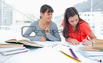 Two studying girls at home doing work